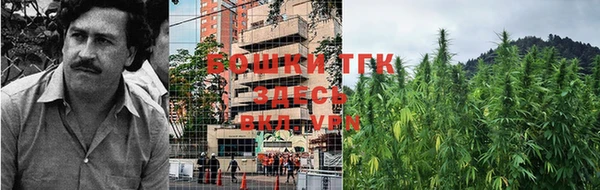 каннабис Арсеньев