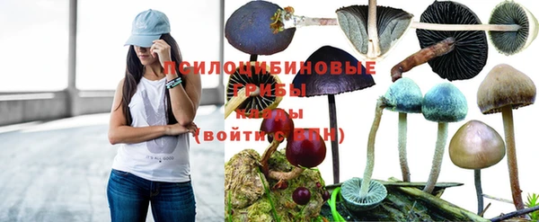 не бодяженный Нефтекумск